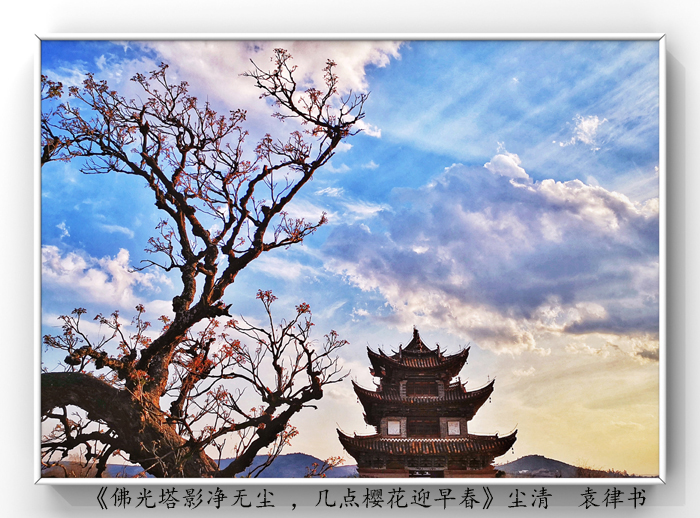 025《佛光塔影凈無塵 ，幾點櫻花迎早春》.jpg